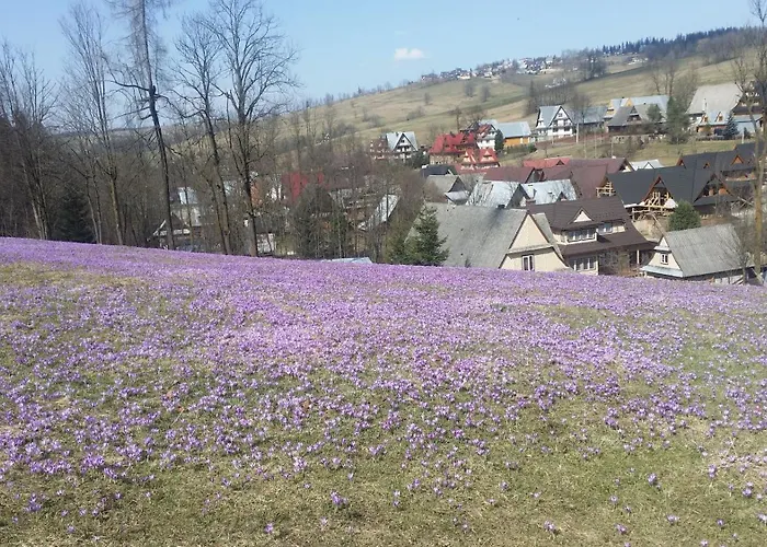 Dom W Krokusach Pokoje Goscinne
