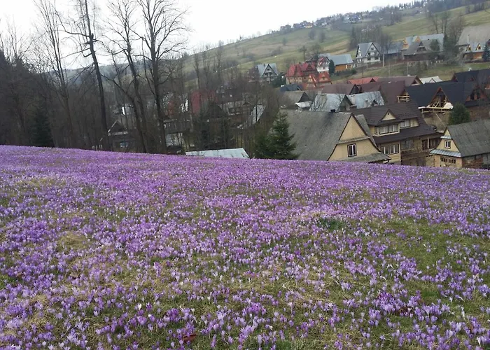 Dom W Krokusach Pokoje Goscinne